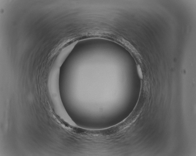 X0000083620577200702201318
