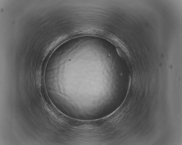 X0000083620578200702201318