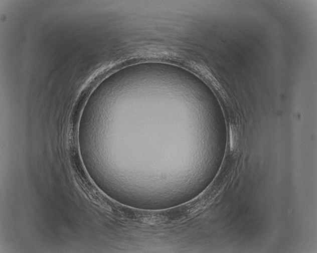 X0000083620579200702201318