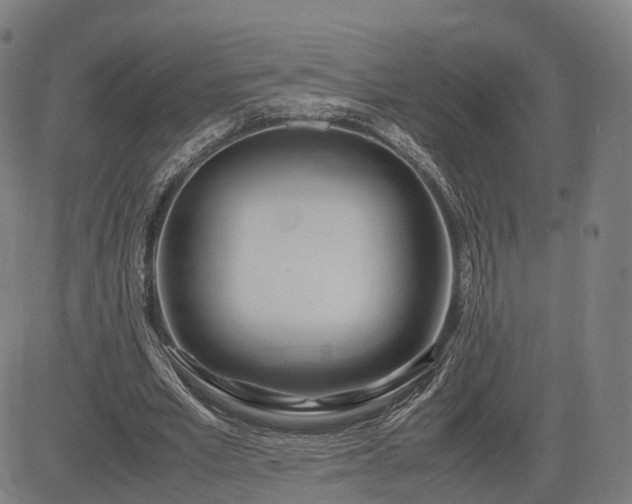 X0000083620581200702201318