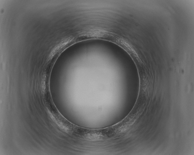 X0000083620586200702201318