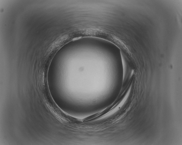 X0000083620589200702201318