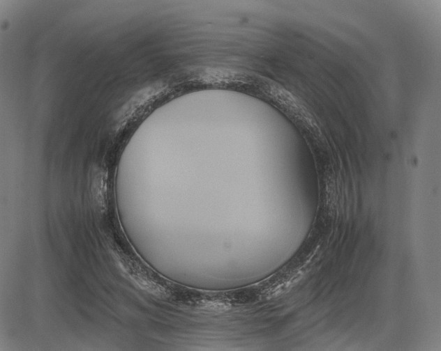 X0000083620592200702201318