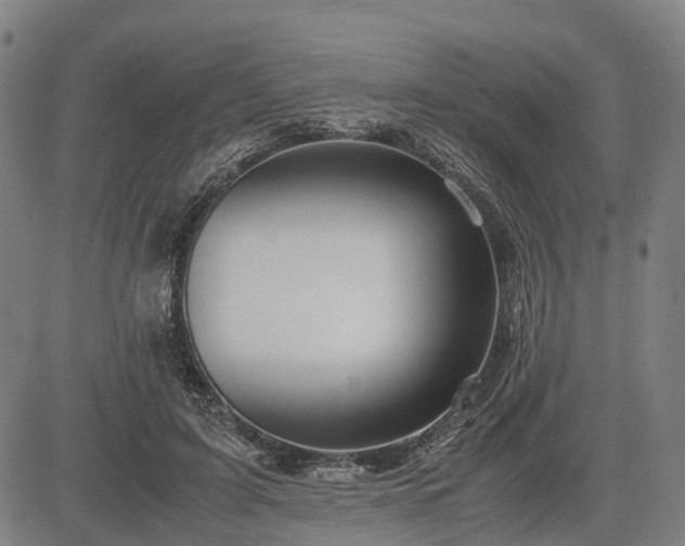 X0000083620595200702201318