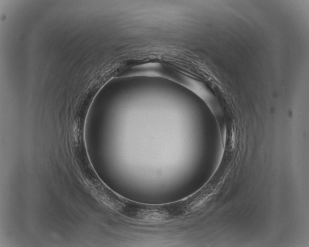 X0000083620597200702201318