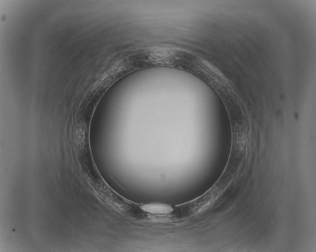 X0000083620603200702201318
