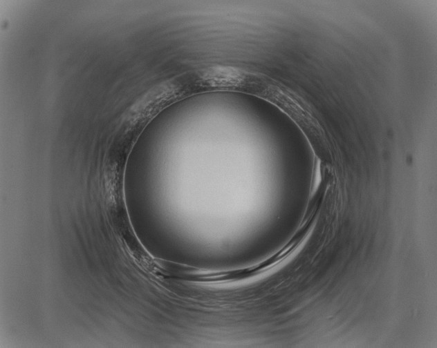 X0000083620604200702201318