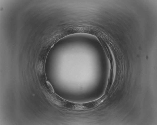X0000083620605200702201318