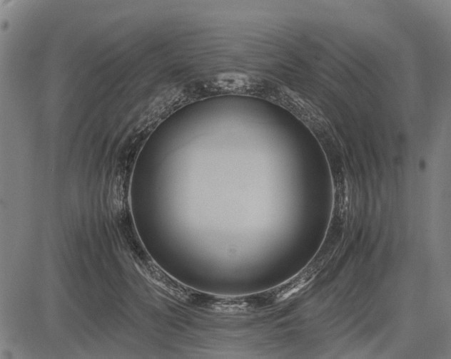 X0000083620606200702201318