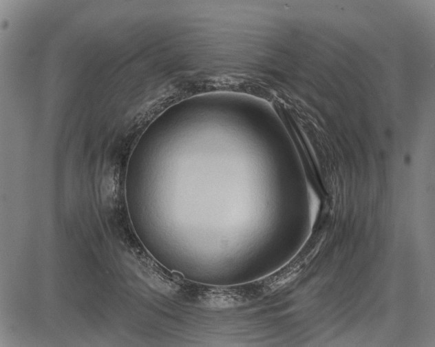 X0000083620608200702201318