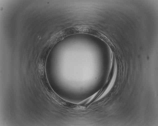 X0000083620609200702201318