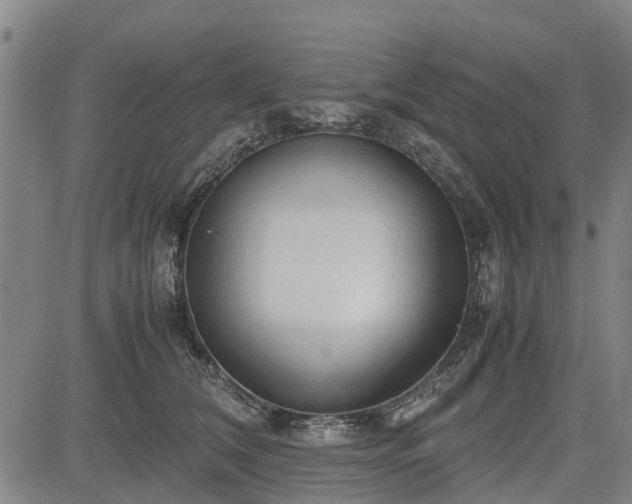 X0000083620612200702201318