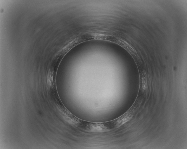 X0000083620618200702201318