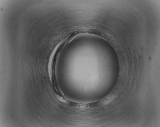 X0000083620624200702201317