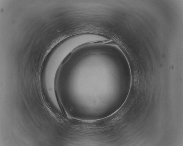 X0000083620626200702201317