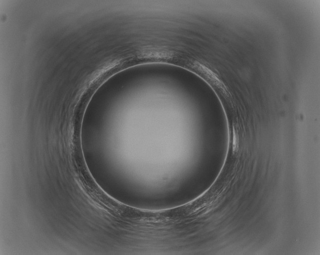 X0000083620627200702201317