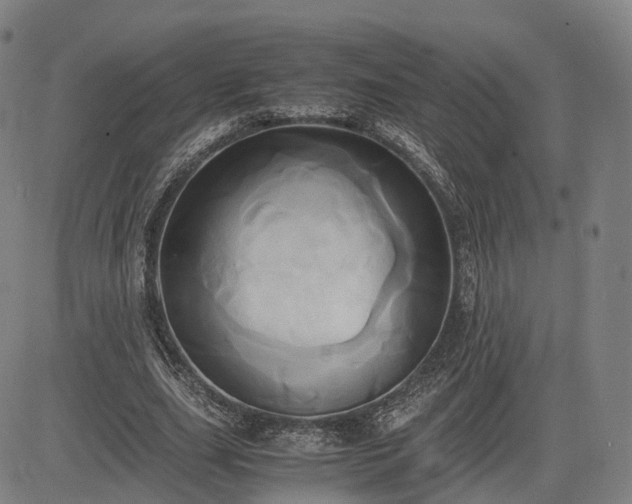 X0000083620631200702201317