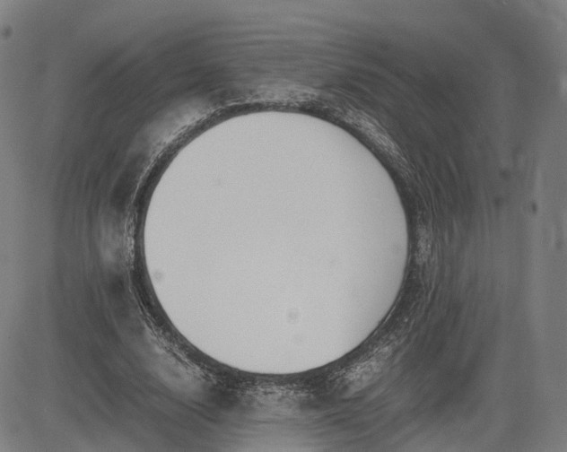 X0000083620632200702201317