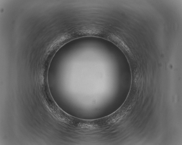 X0000083620635200702201317