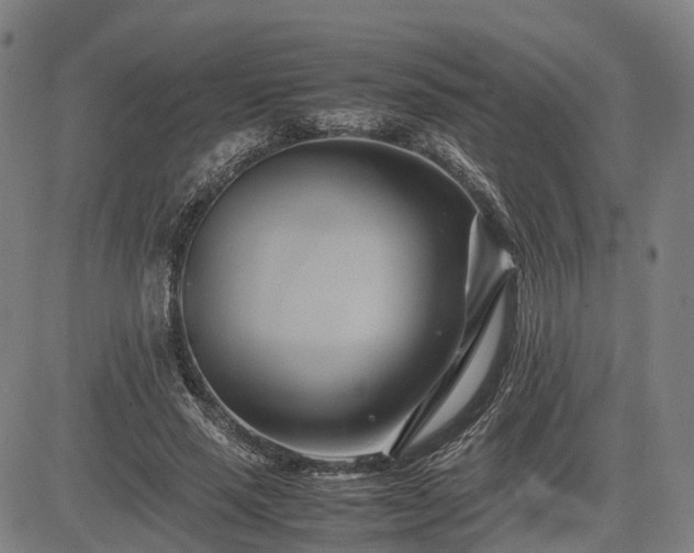 X0000083620637200702201317