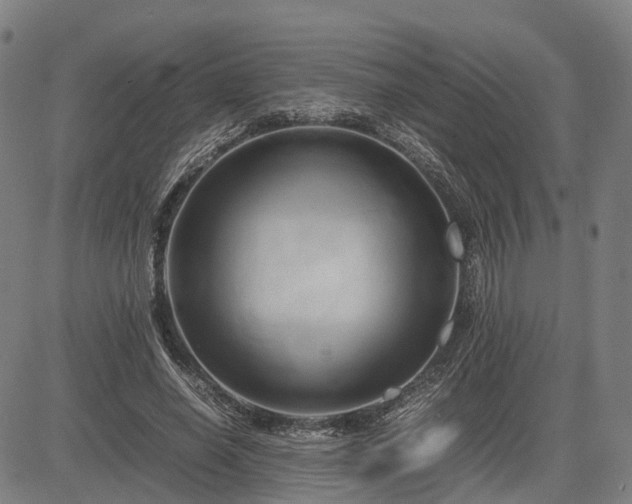 X0000083620638200702201317