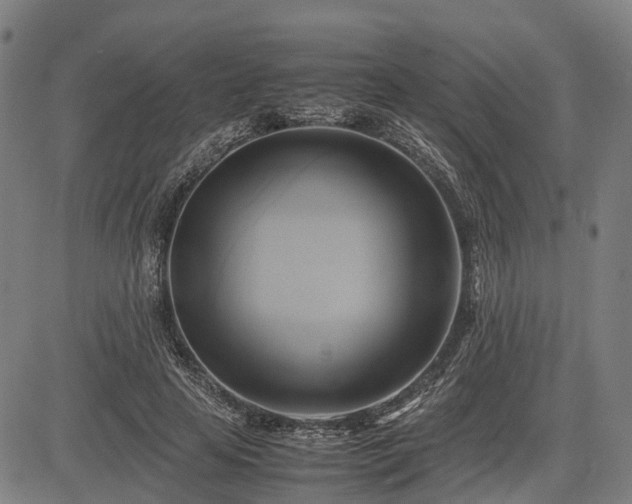 X0000083620641200702201317