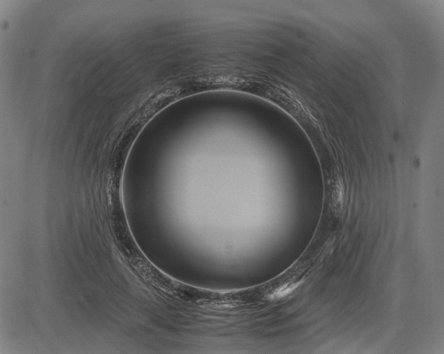 X0000083620643200702201317