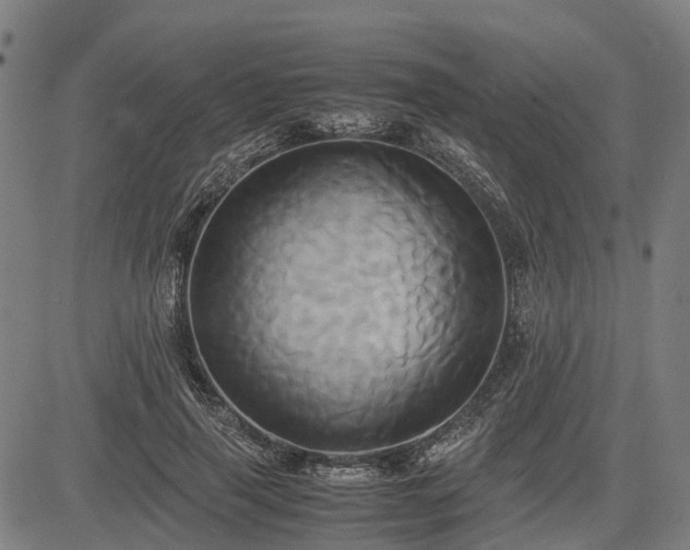 X0000083620645200702201317