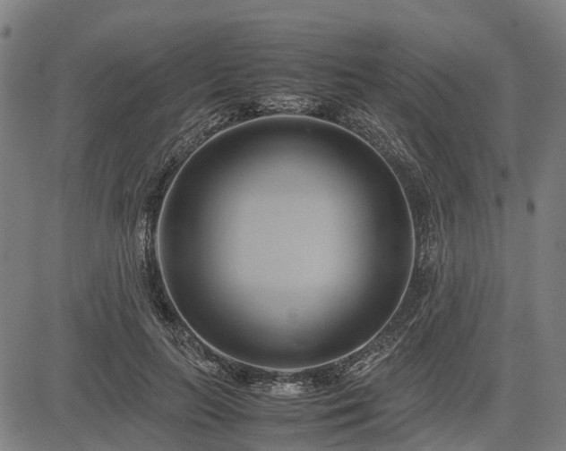 X0000083620647200702201317