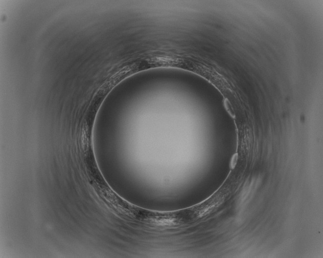 X0000083620651200702201317