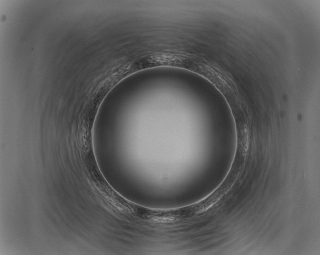 X0000083620653200702201317