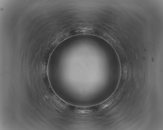 X0000083620657200702201317