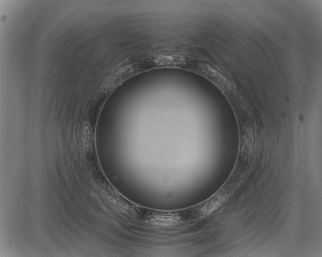 X0000083620659200702201317