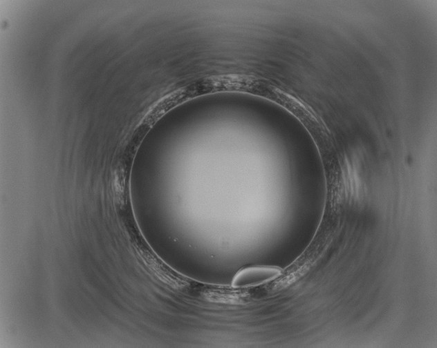 X0000083620661200702201317