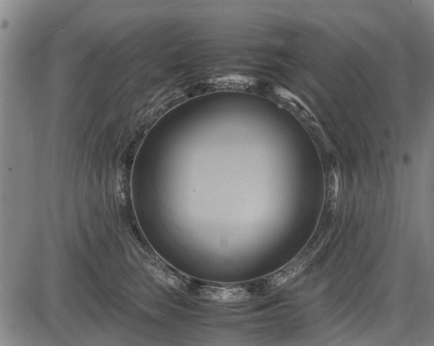 X0000083620663200702201317