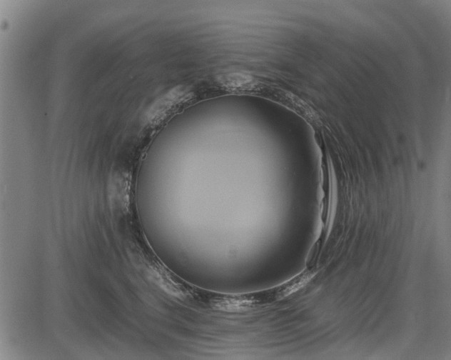 X0000083620664200702201317