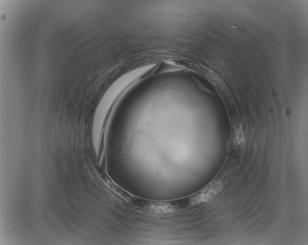 X0000083620666200702201317