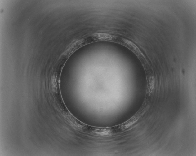 X0000083620667200702201317