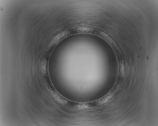 X0000083620668200702201317