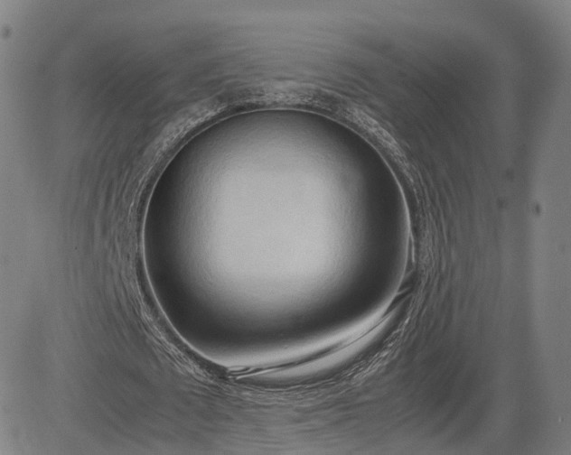 X0000083620673200702201317