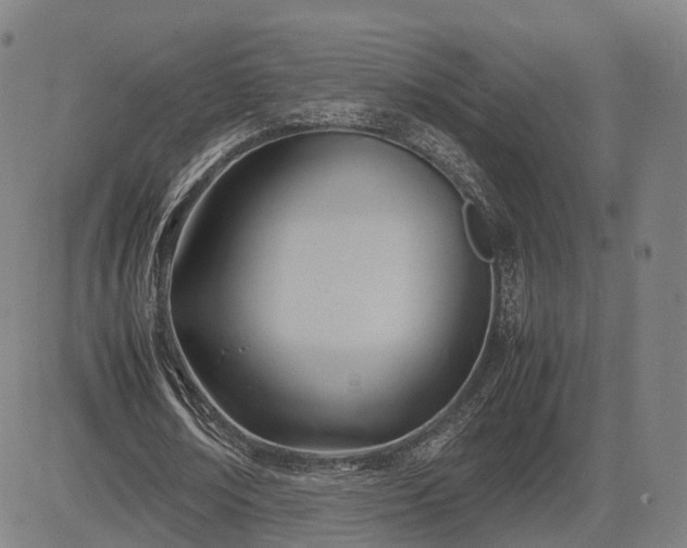 X0000083620674200702201317