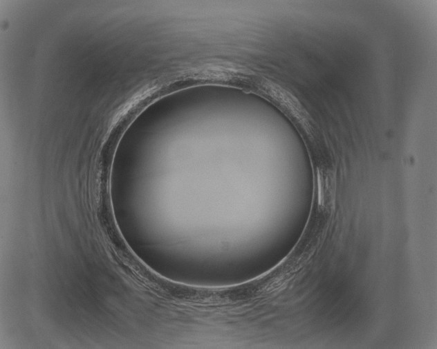 X0000083620675200702201317