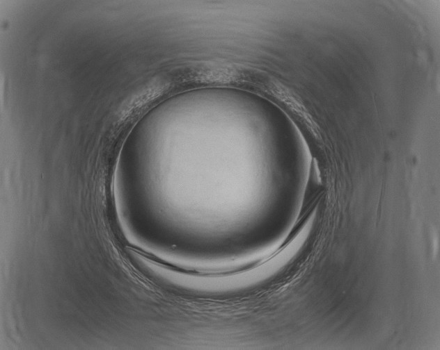 X0000083620681200702201317