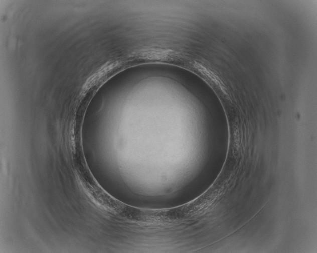 X0000083620682200702201317