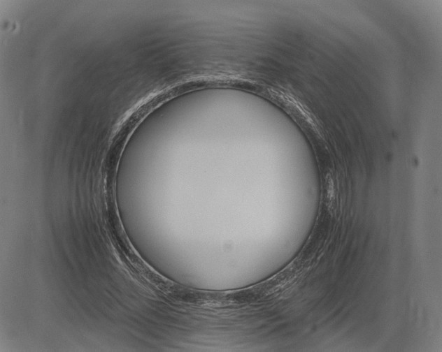 X0000083620684200702201316
