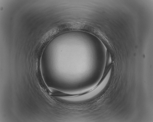 X0000083620685200702201316