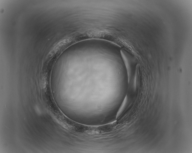 X0000083620687200702201316