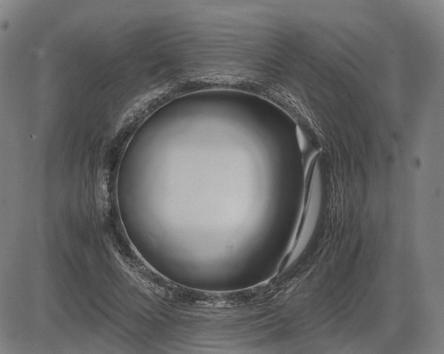 X0000083620688200702201316
