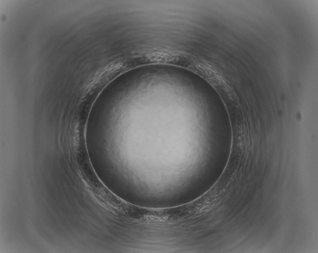 X0000083620690200702201316