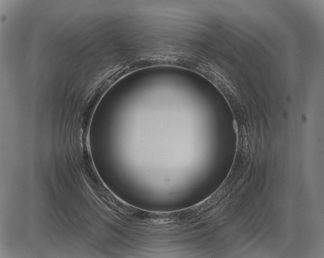 X0000083620692200702201316